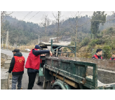 扮靓磁浮风景线 虹桥社区在行动