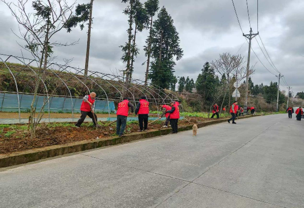 图片5.png 图片5.png