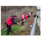 凤凰县两林乡开展路域美化主题党日活动