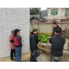 凤凰县落潮井镇:镇村联动解心结 兄弟积怨终言和