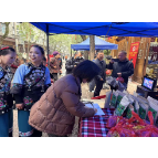 非遗护巾帼 苗药暖凤凰 —— 杨氏苗药非遗公益行温情启幕