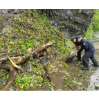 凤凰公安：雨季巡查除隐患 快速清障保畅通