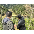 有证归甲，林留两家——凤凰县新场镇调委会成功调解一起山林纠纷