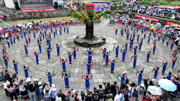图片43.png 图片43.png