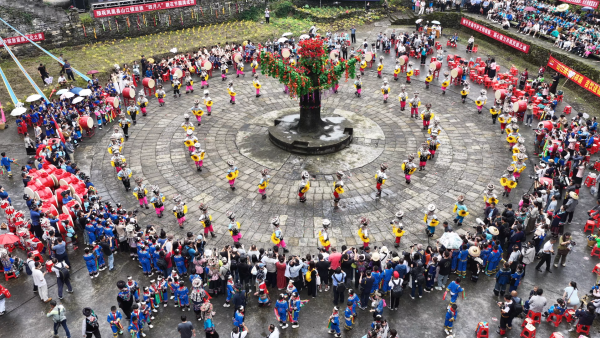 图片47.png 图片47.png