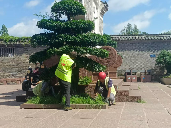 图片8.png 图片8.png