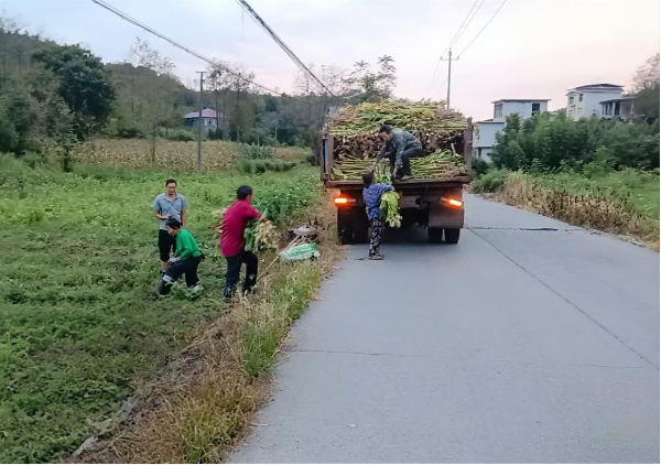 图片10.png