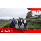 2026年09月24日湖南凤凰新闻