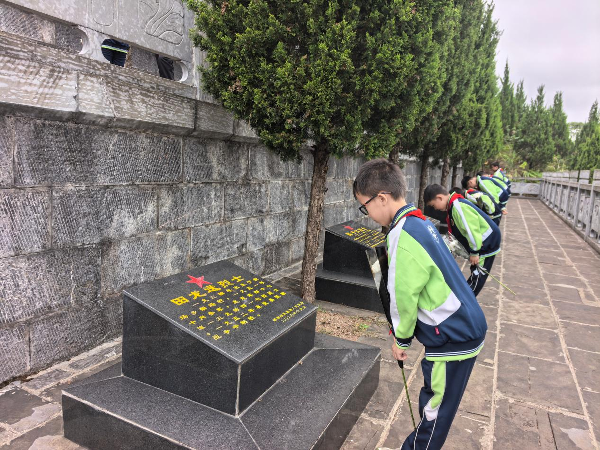 图片33.png 图片33.png