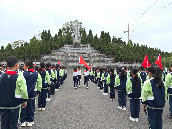 图片31.png 图片31.png