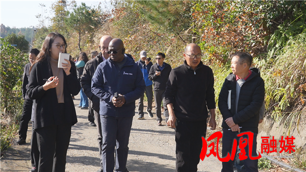 国际农发基金跟踪指导团深入凤凰县 指导乡村振兴项目实施工作