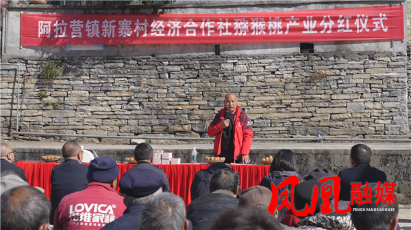 阿拉营镇新寨村:猕猴桃产业喜迎首年分红