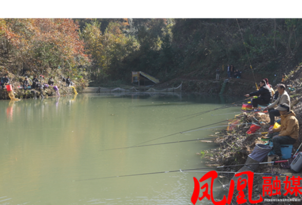 凤凰县多地摆起“钓鱼擂台”!以竿会友聚民心 助力乡村振兴民族团结