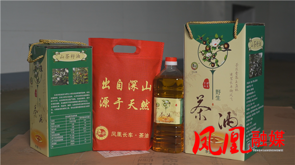 凤凰县长车村:4680亩生态有机油茶迎来丰收