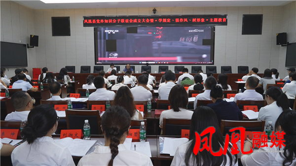 凤凰县知联会成立大会暨主题教育活动顺利召开