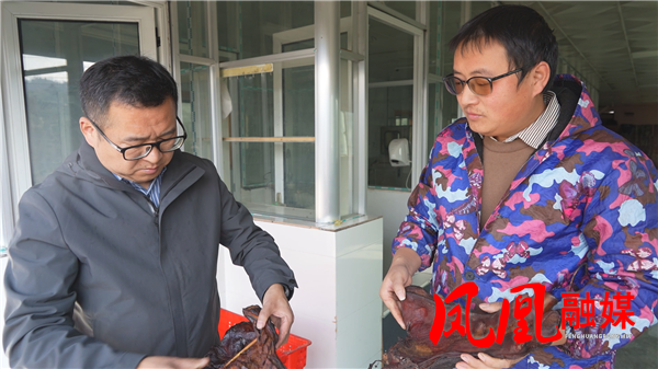 凤凰于飞 委员同行|实干委员吴建刚 ：文旅创新助发展  勇立潮头谋新篇