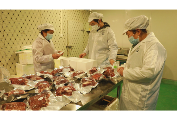 青禾畜牧业：新春开工迎“开门红” 首日订单破百万元 