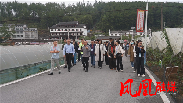 “新艺中国·遇见湘西”全国新的社会阶层人士服务考察团走进凤凰县
