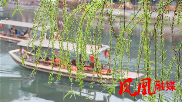 今日春分：人间向暖 万物逢春