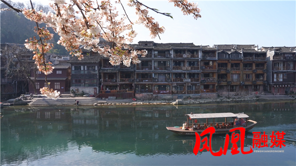 凤凰古城:樱花映沱江 赏花正当时