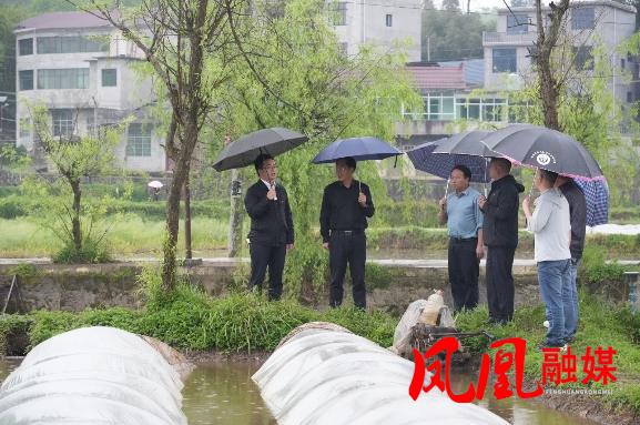 毛家深入乡镇调研督导抛荒耕地治理、高标准农田建设等农业重点工作