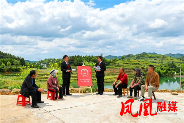 凤凰法院:两部法典进茶场 守护发展“绿”动力