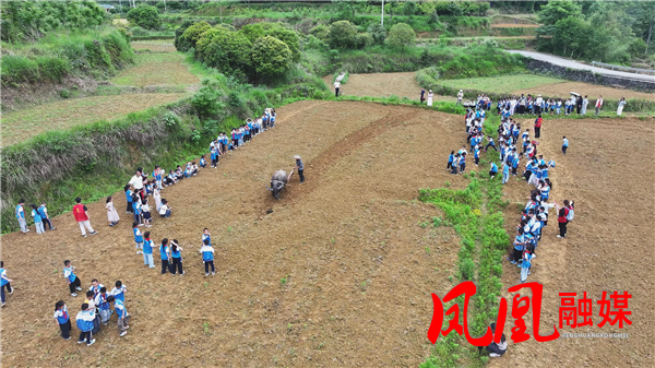 凤凰县满家村：600余名学子沉浸式体验田园科普课