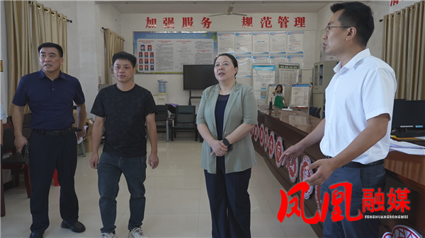 吴凌频深入凤凰县调研县乡人大换届及茶叶产业发展工作