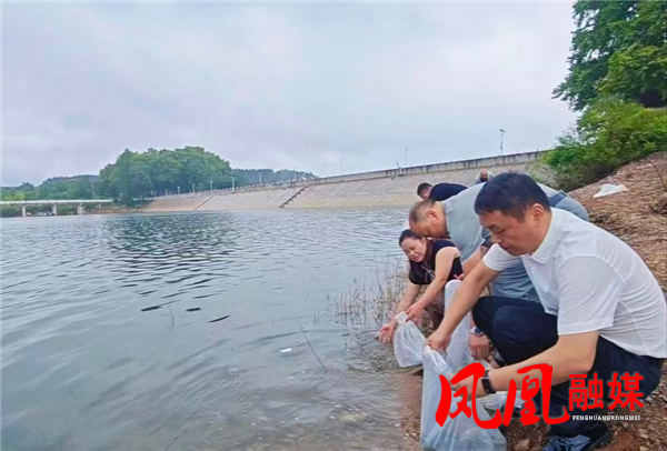 凤凰县水利局赴龙塘河水库开展生态补偿增殖放流 以鱼净水修复水域生态