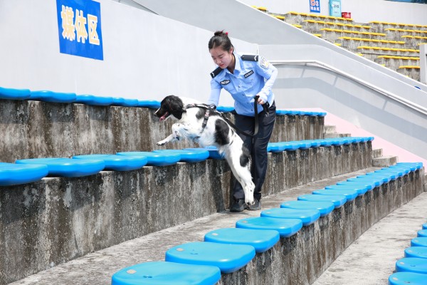图片7.jpg 图片7.jpg