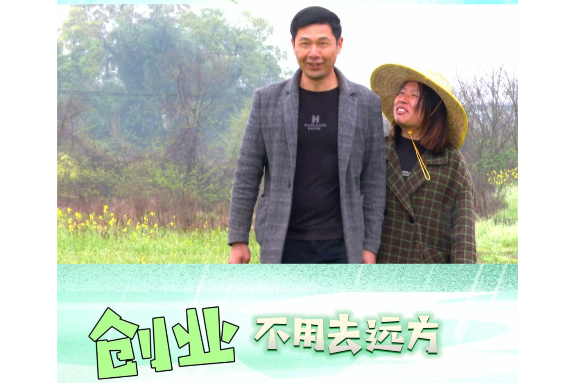 创业不用去远方 _专题_湘潭县网