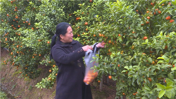 微信图片_20201123143021.jpg