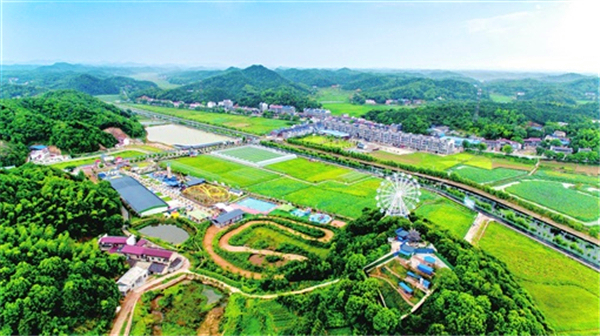 美丽乡村。.jpg