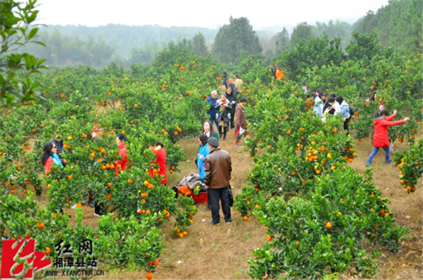 历届活动现场都十分热闹.jpg