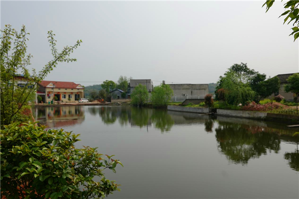 图片17.jpg
