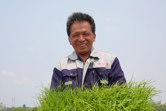 【记者走基层】湘潭县：政府主导企业“托底”全年糯稻种植面积将达万亩