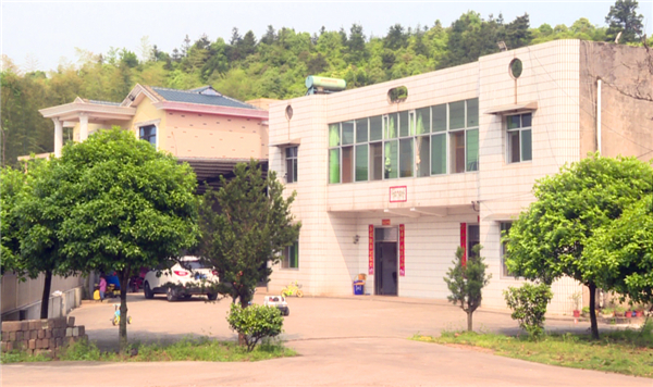 宽敞明亮的农家小院.jpg
