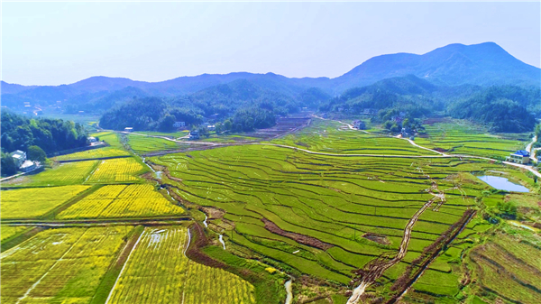 阡陌纵横的天马山村.jpg