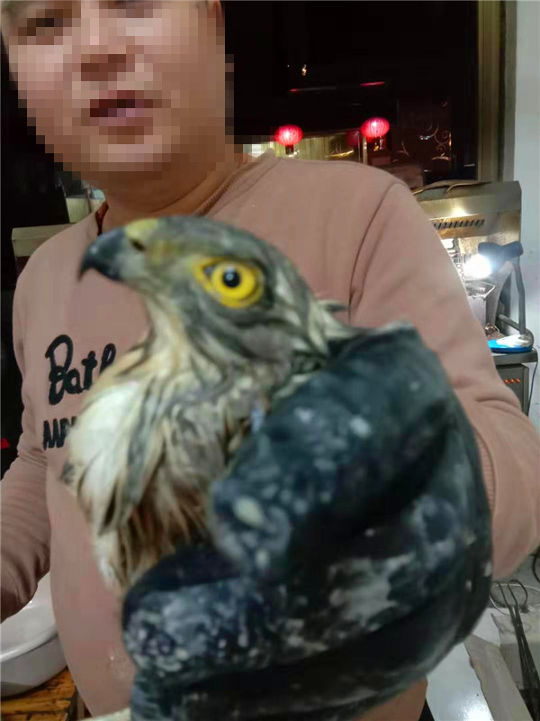 微信图片_20200314133922.jpg
