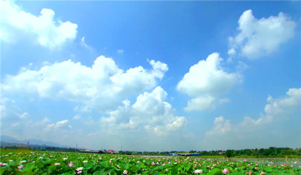 QQ图片20200615095524.jpg