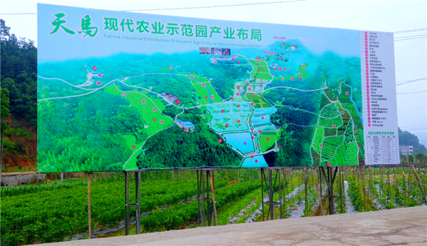 QQ图片20200615094628.jpg