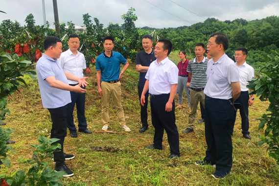 傅国平督导分水乡脱贫攻坚、乡镇全面工作