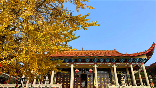 图片1.jpg
