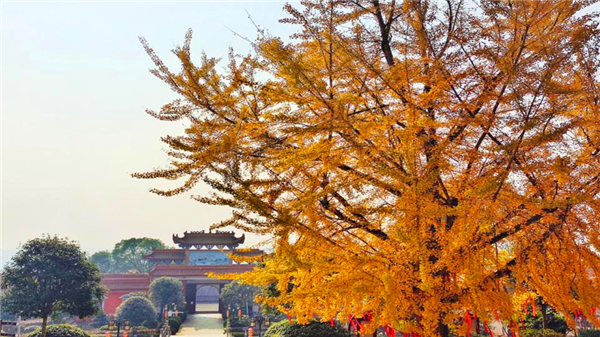 图片3.jpg