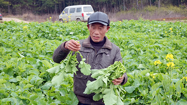 图片11.png 图片11.png