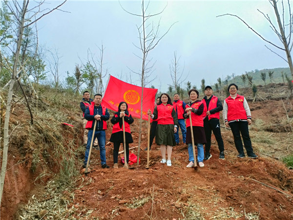 图片8.png 图片8.png