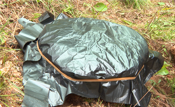 QQ图片20220302094323.png QQ图片20220302094323.png