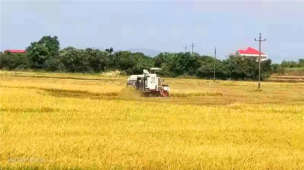 微信图片_20220303090343.png 微信图片_20220303090343.png