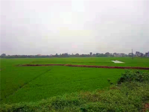 微信图片_20220303090351.png 微信图片_20220303090351.png