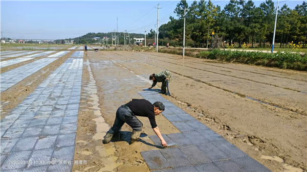 微信图片_20220309152543.png